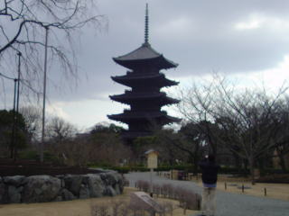 旅ニケーション 京都旅行 日本最高最大 東寺の五重塔