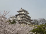 姫路城跡(旅ニケーション 特別史跡・特別名勝)