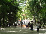 旅ニケーション 京都旅行 下鴨神社参道糺の森