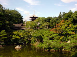 旅ニケーション 国内旅行 京都観光 仁和寺
