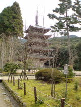 旅ニケーション 京都旅行・京都観光 醍醐寺 五重塔