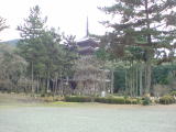 旅ニケーション 京都旅行・京都観光 醍醐寺 五重塔