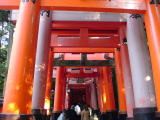伏見稲荷 千本鳥居(旅ニケーション 京都旅行)