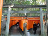 伏見稲荷 千本鳥居(旅ニケーション 京都旅行)