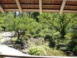 梅林(旅ニケーション 石川旅行 金沢 兼六園)