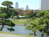 旧浜離宮庭園(旅ニケーション 特別史跡・特別名勝)