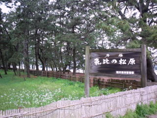 気比の松原(旅ニケーション 若狭)