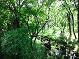 北の丸公園(旅ニケーション 皇居・日比谷・丸の内)
