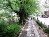 旅ニケーション 京都旅行 銀閣寺・哲学の道周辺