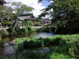 忍野八海 濁池(旅ニケーション 山中湖・忍野・道志)