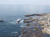 稚児ヶ淵(旅ニケーション 江の島)