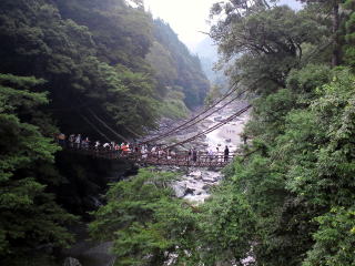かずら橋(旅ニケーション 徳島旅行 祖谷)