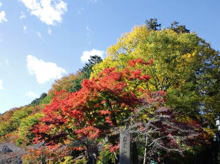 高尾山山麓(旅ニケーション 高尾山・八王子城)