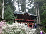 大猷院 輪王寺(旅ニケーション日光旅行)
