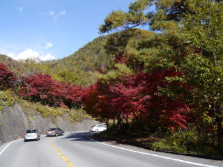 もみじロード(旅ニケーション 昇仙峡)