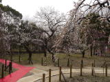 府中市郷土の森(旅ニケーション 府中・国分寺)