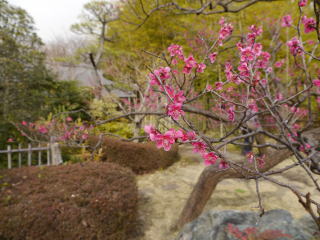 府中市郷土の森(旅ニケーション 府中・国分寺)