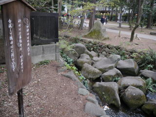 神田川源流(旅ニケーション 吉祥寺観光)
