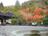 銀閣寺【旅ニケーション】