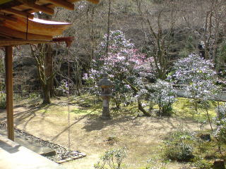旅ニケーション 京都旅行 高雄 高山寺石水院