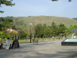 旅ニケーション　奈良旅行・奈良観光　奈良公園