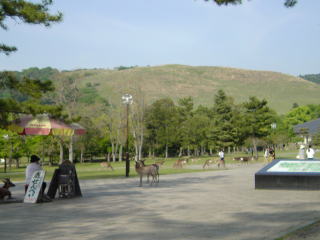 奈良公園【旅ニケーション】