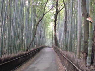 京都嵐山デート（旅ニケーション デートスポット・デートコース）