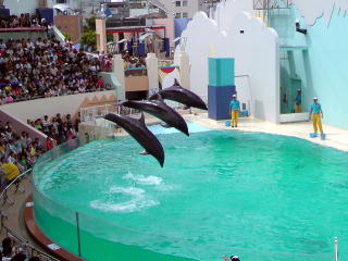 旅ニケーション 兵庫旅行 須磨・垂水・舞子 須磨海浜水族園