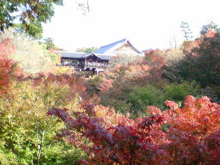 東福寺 通天門（旅ニケーション 京都旅行）