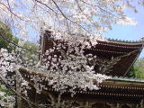 旅ニケーション 奈良旅行・奈良観光 吉野 如意輪寺