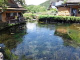 忍野八海(旅ニケーション 名水百選/平成の名水百選)