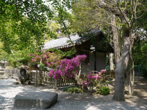 鎌倉　高徳院