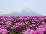日本の世界遺産（旅ニケーションより）