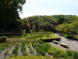 薬師池公園（旅ニケーション）