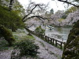 井之頭公園（旅ニケーション）