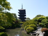 東寺【旅ニケーション】