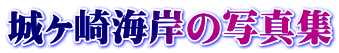 郖C݂̎ʐ^W